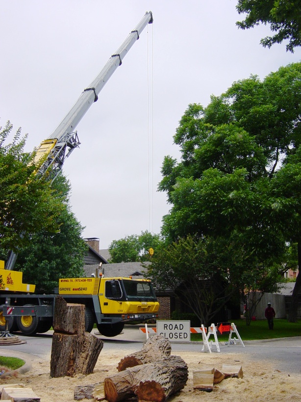 Crane Service for Trees in Dallas Fort Worth